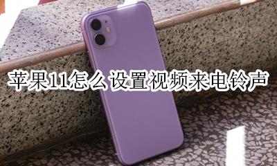 苹果11怎么设置视频来电铃声 苹果11怎样设置来电视频铃声