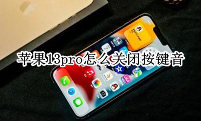 苹果13pro怎么关闭按键音 苹果13pro按键音怎么设置