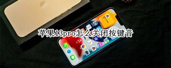 苹果13pro怎么关闭按键音