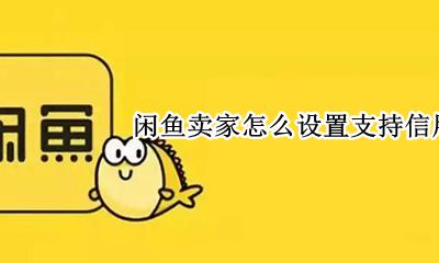闲鱼怎么用信用卡支付 闲鱼卖家怎么设置支持信用卡付款
