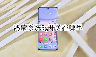 华为5g鸿蒙系统 鸿蒙系统5g开关在哪里