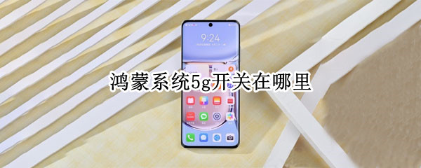 鸿蒙系统5g开关在哪里