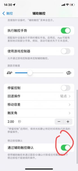 苹果怎么设置双击侧边键下载