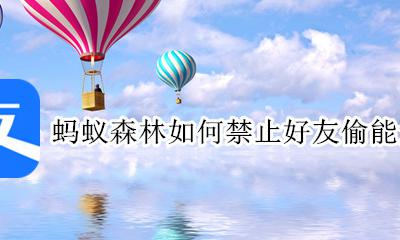 蚂蚁森林如何禁止好友偷能量 蚂蚁森林如何屏蔽好友偷能量
