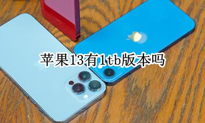 苹果13有1tb版本吗 苹果13最后一个版本是多少