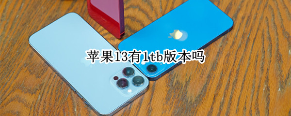 苹果13有1tb版本吗
