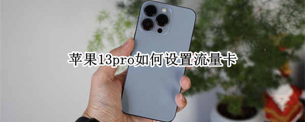 苹果13pro如何设置流量卡