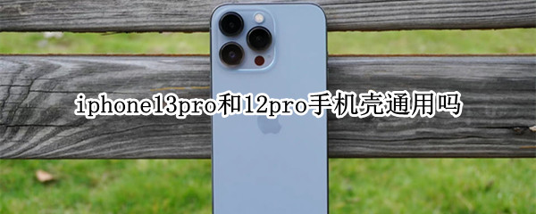 iphone13pro和12pro手机壳通用吗
