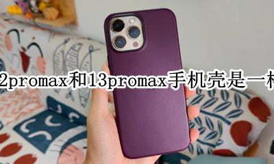 苹果12promax和13promax手机壳是一样的吗 手机壳通用吗