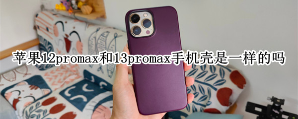 苹果12promax和13promax手机壳是一样的吗
