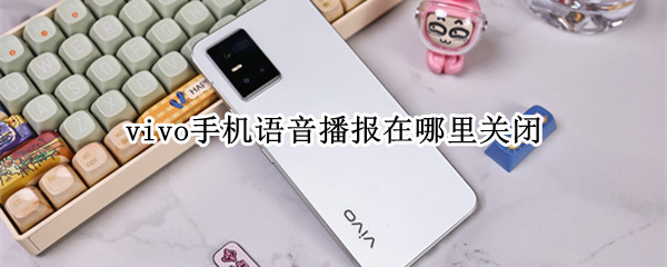 vivo手机语音播报在哪里关闭