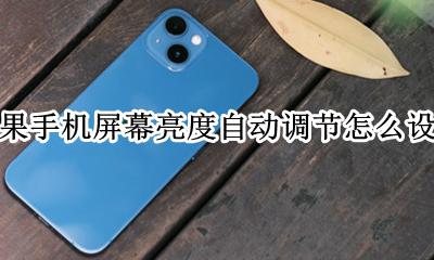苹果手机怎么调自动亮度调节 苹果手机屏幕亮度自动调节怎么设置