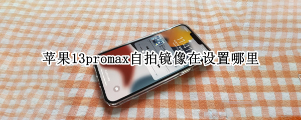 苹果13promax自拍镜像在设置哪里