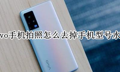 vivo手机照片水印怎么去掉 vivo手机拍照怎么去掉手机型号水印