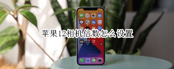 苹果12相机倍数怎么设置