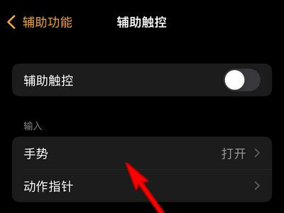 watchos8手势在哪儿设置