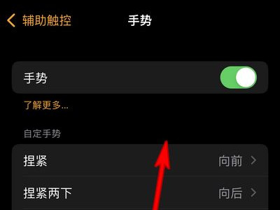 watchos8手势在哪儿设置