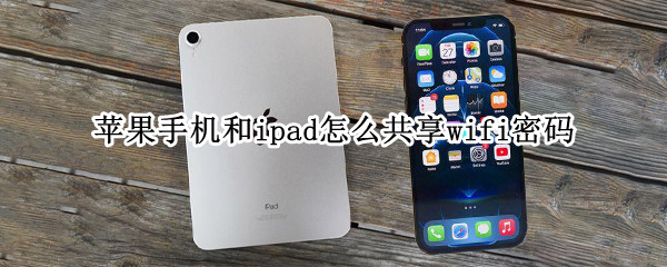 苹果手机和ipad怎么共享wifi密码