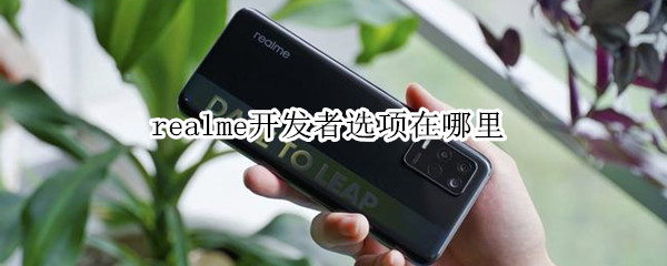 realme开发者选项在哪里