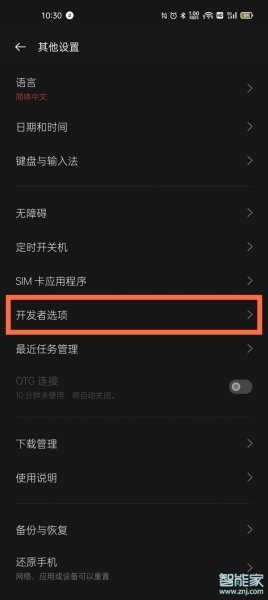 realme开发者选项在哪里