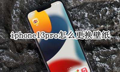 iphone 13怎么更换壁纸 iphone13pro怎么更换壁纸