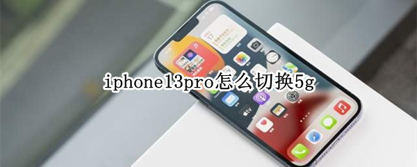 iphone13pro怎么切换5g