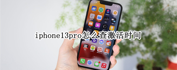 iphone13pro怎么查激活时间