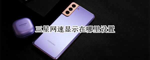 三星网速显示在哪里设置