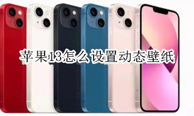 苹果13怎么设置动态壁纸 苹果13.13怎么设置动态壁纸
