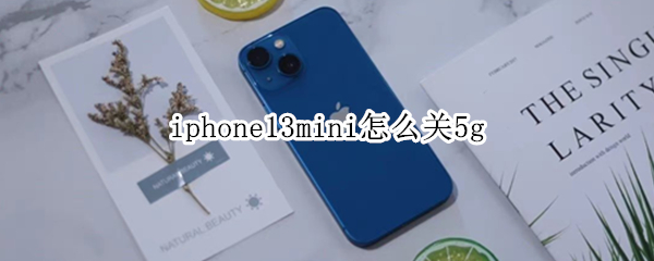 iphone13mini怎么关5g
