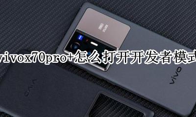 vivox70开发者模式怎么打开 vivox70pro+怎么打开开发者模式