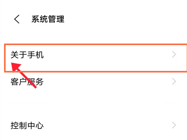vivox70pro+怎么打开开发者模式