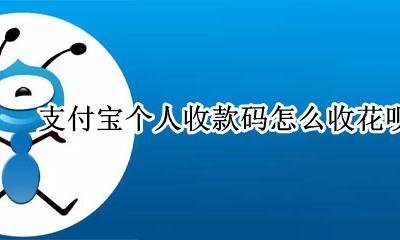 支付宝收款码怎么收花呗 支付宝个人收款码怎么收花呗的钱