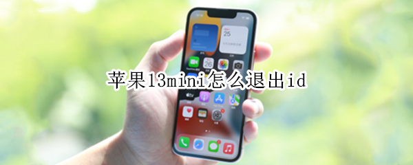 苹果13mini怎么退出id