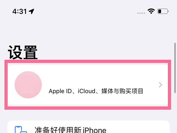 苹果13mini怎么退出id