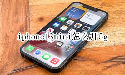 iphone13mini怎么开5g iphone13mini13g开关