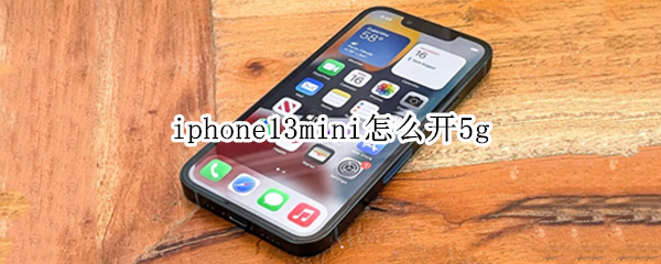 iphone13mini怎么开5g