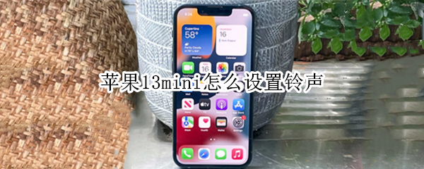 苹果13mini怎么设置铃声