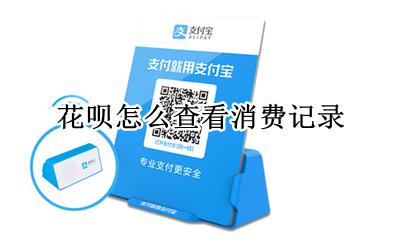 花呗怎么查看消费记录 怎么看花呗的所有消费记录