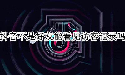抖音不是好友能看见访客记录吗 为什么我的抖音看不到别人访客记录