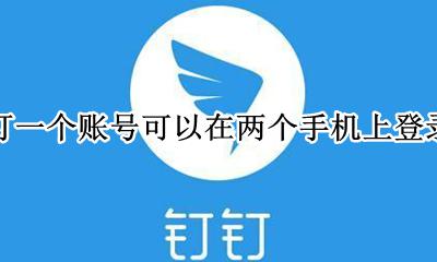 钉钉一个账号可以在两个手机上登录吗 一个手机号登录钉钉可以同时登录两个