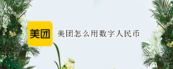 美团怎么用数字人民币