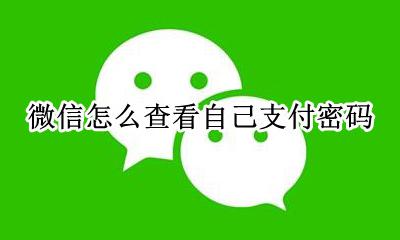 怎样查看微信支付密码? 微信怎么查看自己支付密码