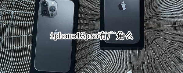 iphone13pro有广角么