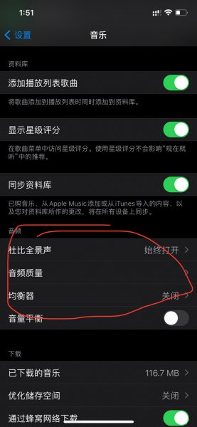 苹果13pro杜比全景声怎么开启