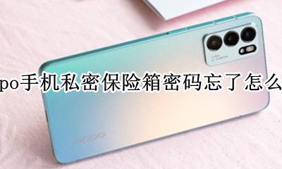 oppo手机私密保险箱密码忘了怎么办 oppo手机设置了隐私保险箱密码忘了怎么弄