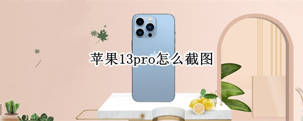 苹果13pro怎么截图