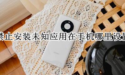 禁止安装未知应用在手机哪里设置 手机如何设置不允许安装未知应用