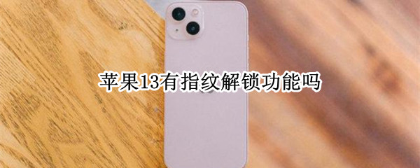 苹果13有指纹解锁功能吗