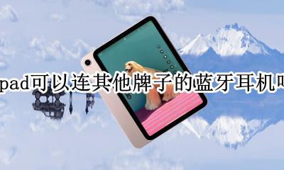 ipad可以连一般的蓝牙耳机吗 ipad可以连其他牌子的蓝牙耳机吗